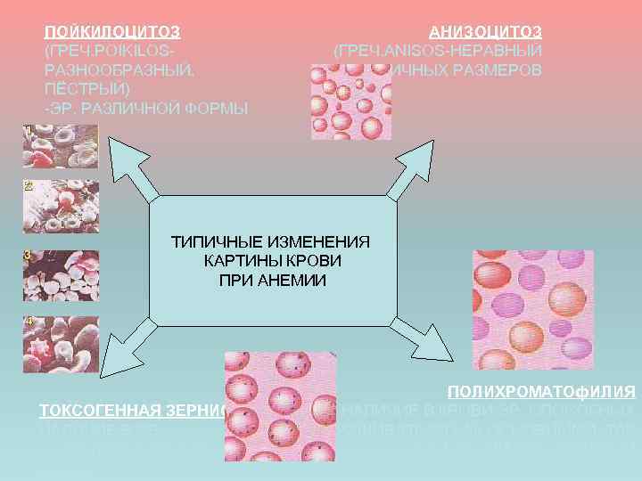 Сп при анемия железодефицитная анемия thumbnail