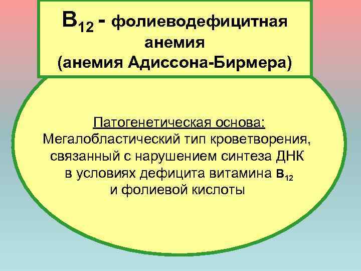 B 12 - фолиеводефицитная анемия (анемия Адиссона-Бирмера) Патогенетическая основа: Мегалобластический тип кроветворения, связанный с