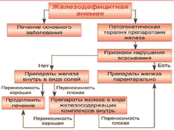 Сп при анемия железодефицитная анемия