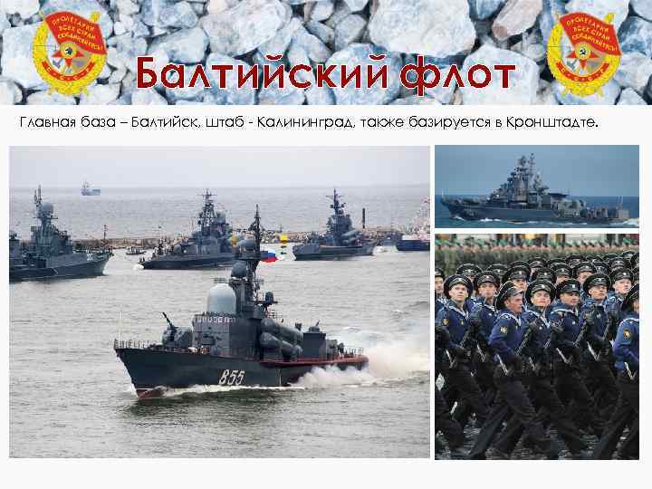 Балтийский флот Главная база – Балтийск, штаб - Калининград, также базируется в Кронштадте. 