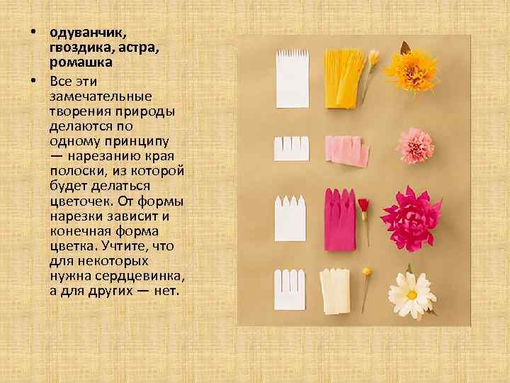  • одуванчик, гвоздика, астра, ромашка • Все эти замечательные творения природы делаются по