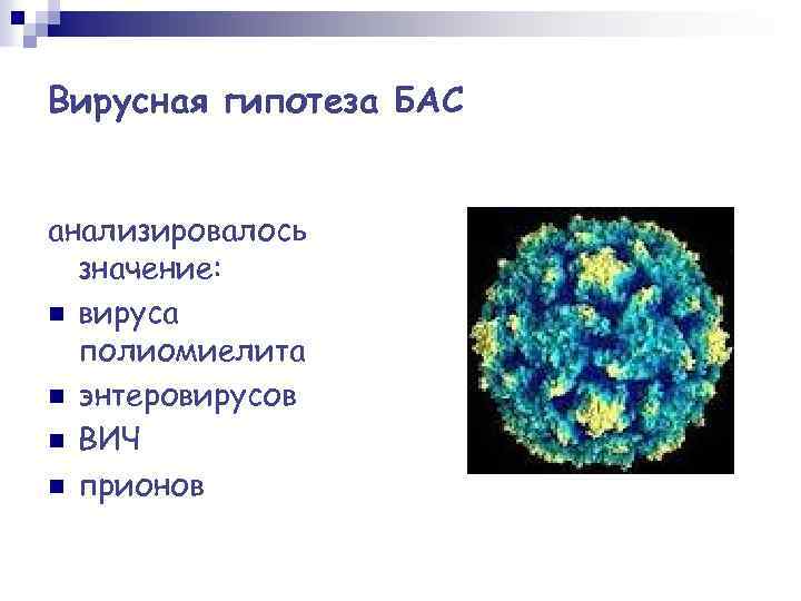 Вирусная гипотеза БАС анализировалось значение: n вируса полиомиелита n энтеровирусов n ВИЧ n прионов