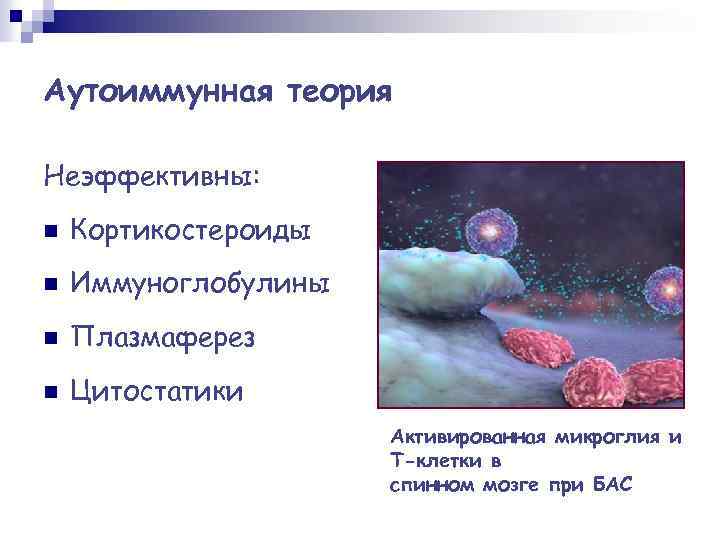 Аутоиммунная теория Неэффективны: n Кортикостероиды n Иммуноглобулины n Плазмаферез n Цитостатики Активированная микроглия и