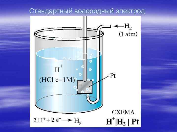 Стандартный водородный электрод 