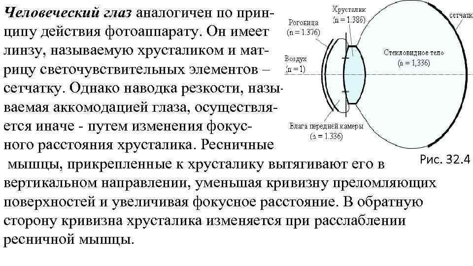 Человеческий глаз аналогичен по принципу действия фотоаппарату. Он имеет линзу, называемую хрусталиком и матрицу