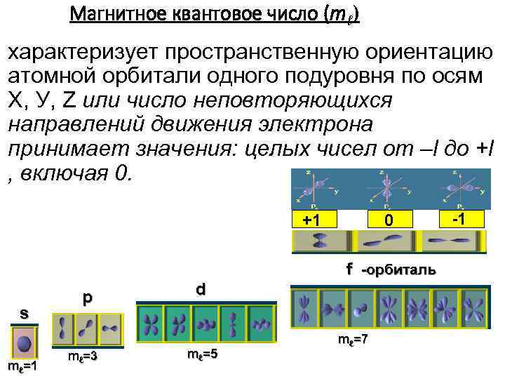 Магнитное квантовое число (mℓ) характеризует пространственную ориентацию атомной орбитали одного подуровня по осям Х,