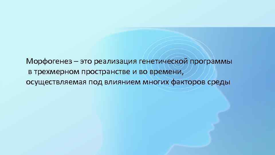 Морфогенез – это реализация генетической программы в трехмерном пространстве и во времени, осуществляемая под