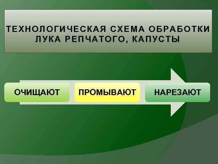 ТЕХНОЛОГИЧЕСКАЯ СХЕМА ОБРАБОТКИ ЛУКА РЕПЧАТОГО, КАПУСТЫ ОЧИЩАЮТ ПРОМЫВАЮТ НАРЕЗАЮТ 