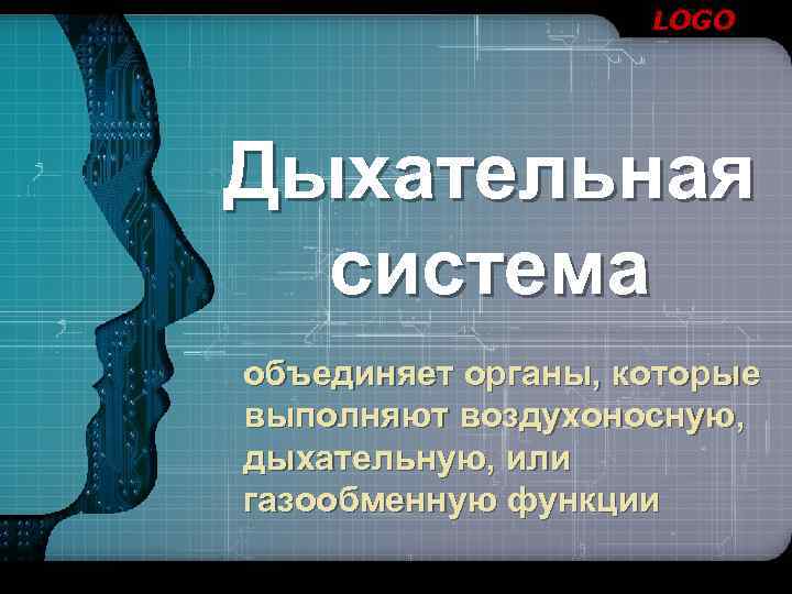 LOGO Дыхательная система объединяет органы, которые выполняют воздухоносную, дыхательную, или газообменную функции 