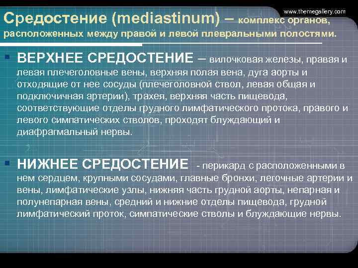 www. themegallery. com Средостение (mediastinum) – комплекс органов, расположенных между правой и левой плевральными