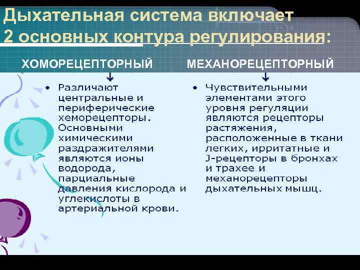 Дыхательная система включает 2 основных контура регулирования: ХОМОРЕЦЕПТОРНЫЙ МЕХАНОРЕЦЕПТОРНЫЙ 