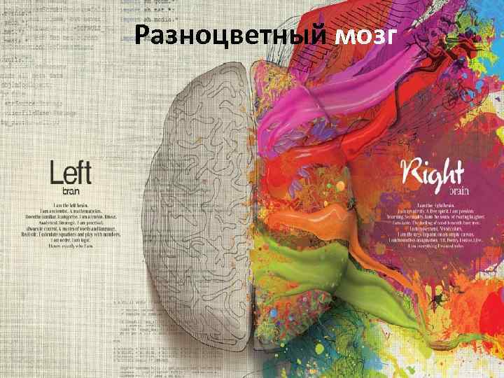Разноцветный мозг 