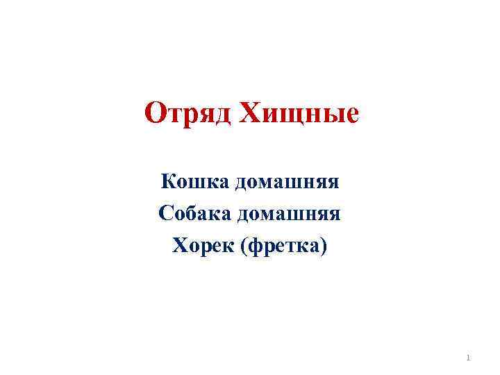 Отряд Хищные Кошка домашняя Собака домашняя Хорек (фретка) 1 