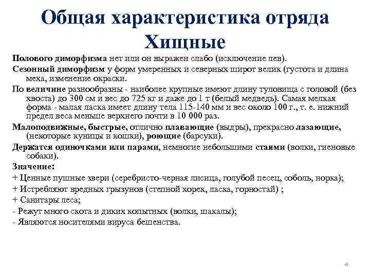 Общая характеристика отряда Хищные Полового диморфизма нет или он выражен слабо (исключение лев). Сезонный