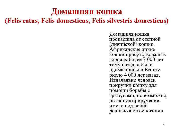Домашняя кошка (Felis catus, Felis domesticus, Felis silvestris domesticus) Домашняя кошка произошла от степной