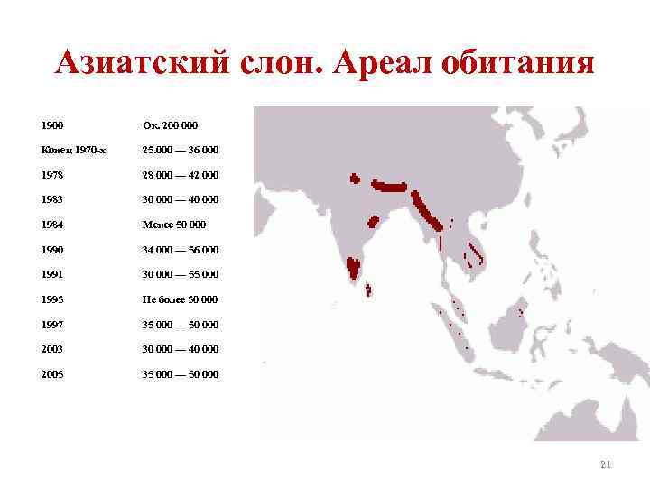 Азиатский слон. Ареал обитания 1900 Ок. 200 000 Конец 1970 -х 25. 000 —