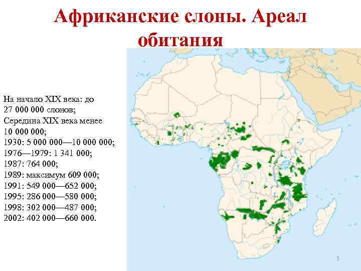 Африканские слоны. Ареал обитания На начало XIX века: до 27 000 слонов; Середина XIX