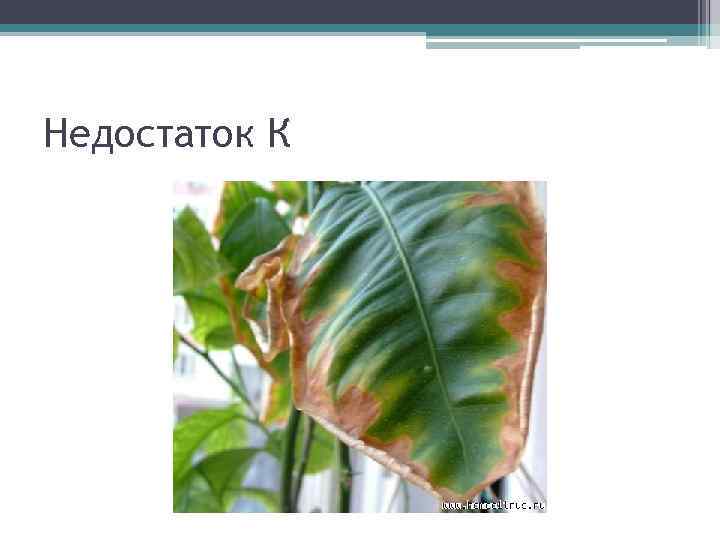 Недостаток К 