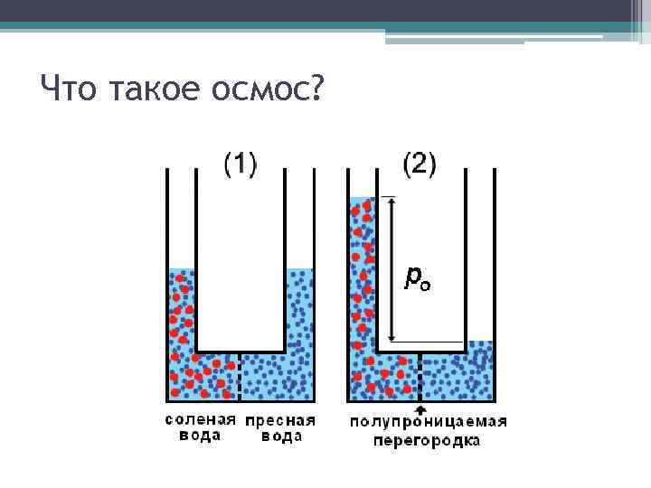 Что такое осмос? 