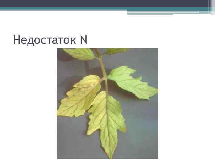 Недостаток N 
