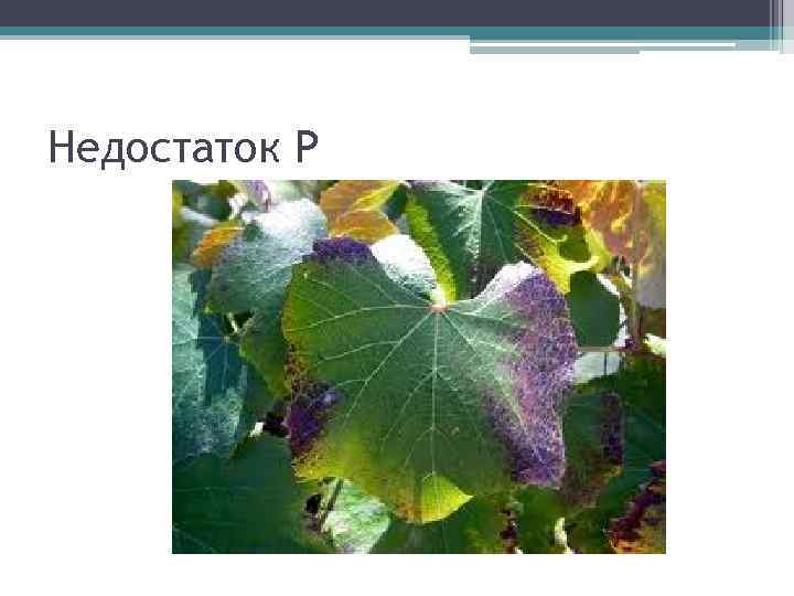 Недостаток P 