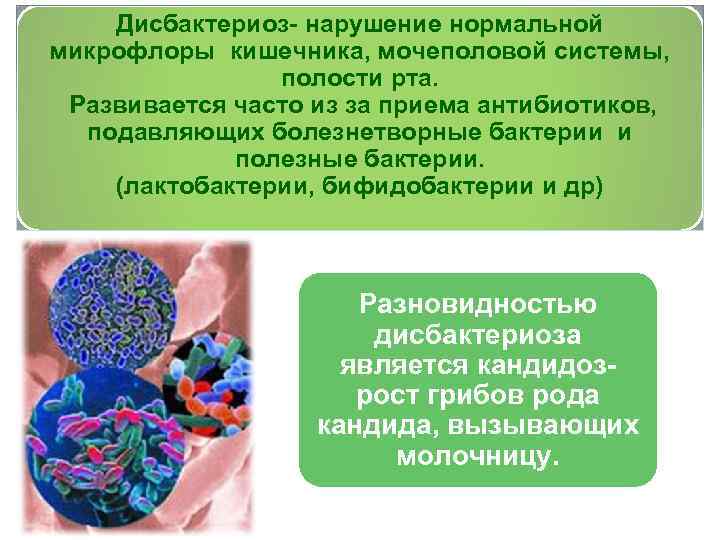 Дисбактериоз- нарушение нормальной микрофлоры кишечника, мочеполовой системы, полости рта. Развивается часто из за приема
