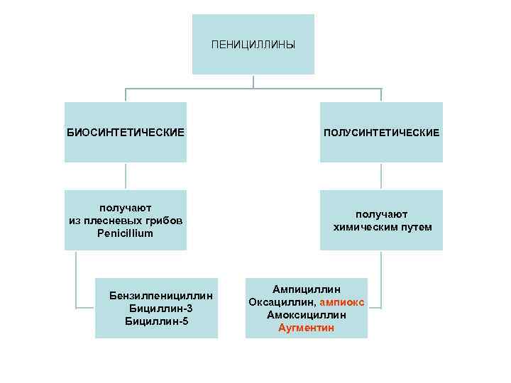 ПЕНИЦИЛЛИНЫ БИОСИНТЕТИЧЕСКИЕ ПОЛУСИНТЕТИЧЕСКИЕ получают из плесневых грибов Penicillium получают химическим путем Бензилпенициллин Бициллин-3 Бициллин-5