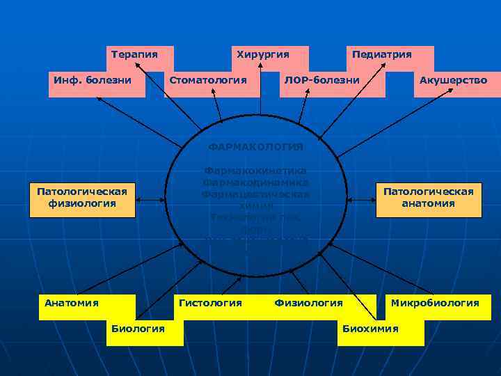 Терапия Инф. болезни Хирургия Стоматология Педиатрия ЛОР-болезни Акушерство ФАРМАКОЛОГИЯ Патологическая физиология Анатомия Фармакокинетика Фармакодинамика