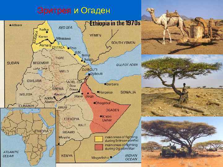 Эритрея и Огаден 
