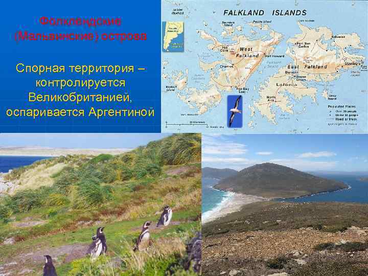 Фолклендские (Мальвинские) острова Спорная территория – контролируется Великобританией, оспаривается Аргентиной 