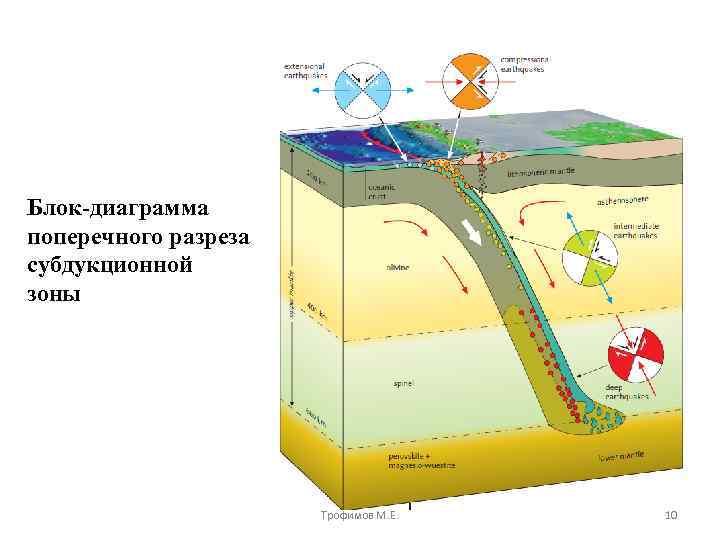 Блок-диаграмма поперечного разреза субдукционной зоны Трофимов М. Е. 10 