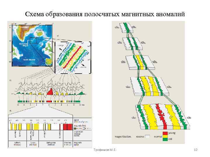 Схема образования полосчатых магнитных аномалий Трофимов М. Е. 12 