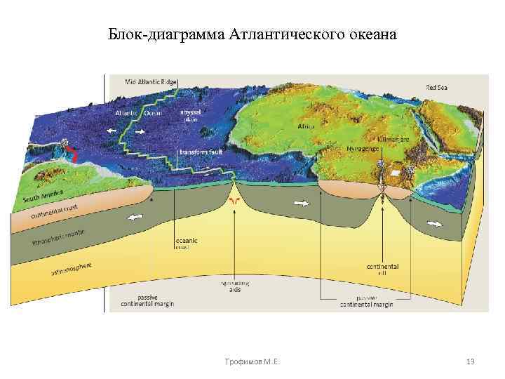 Блок-диаграмма Атлантического океана Трофимов М. Е. 13 