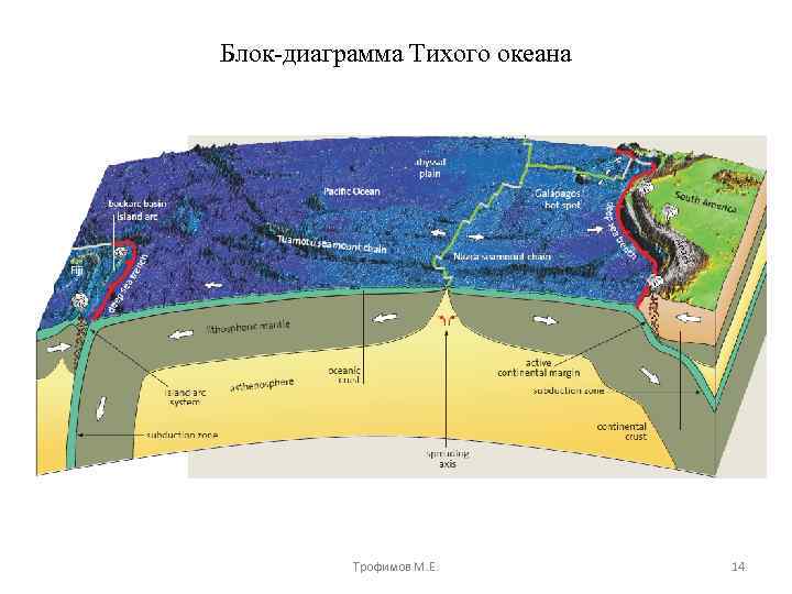 Блок-диаграмма Тихого океана Трофимов М. Е. 14 