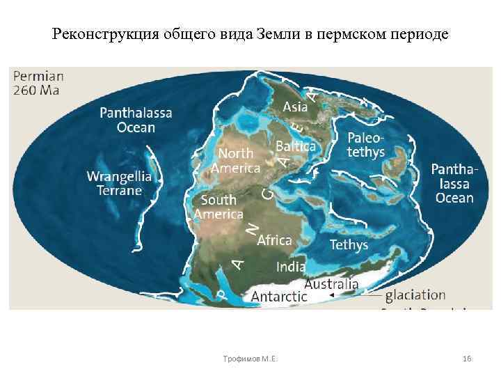 Реконструкция общего вида Земли в пермском периоде Трофимов М. Е. 16 