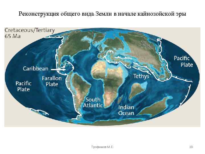 Реконструкция общего вида Земли в начале кайнозойской эры Трофимов М. Е. 19 