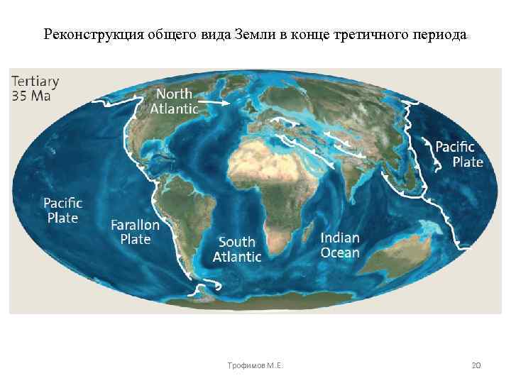 Реконструкция общего вида Земли в конце третичного периода Трофимов М. Е. 20 