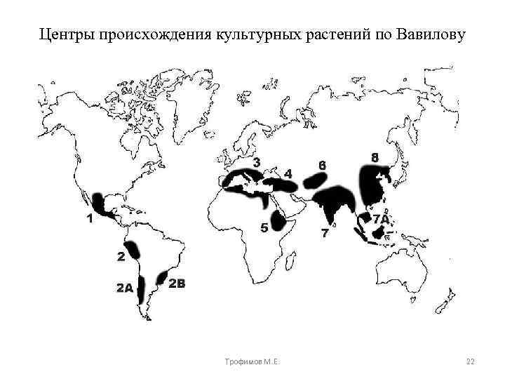 Центры происхождения культурных растений по Вавилову Трофимов М. Е. 22 