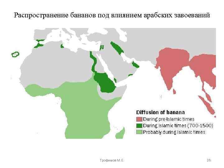 Распространение бананов под влиянием арабских завоеваний Трофимов М. Е. 26 