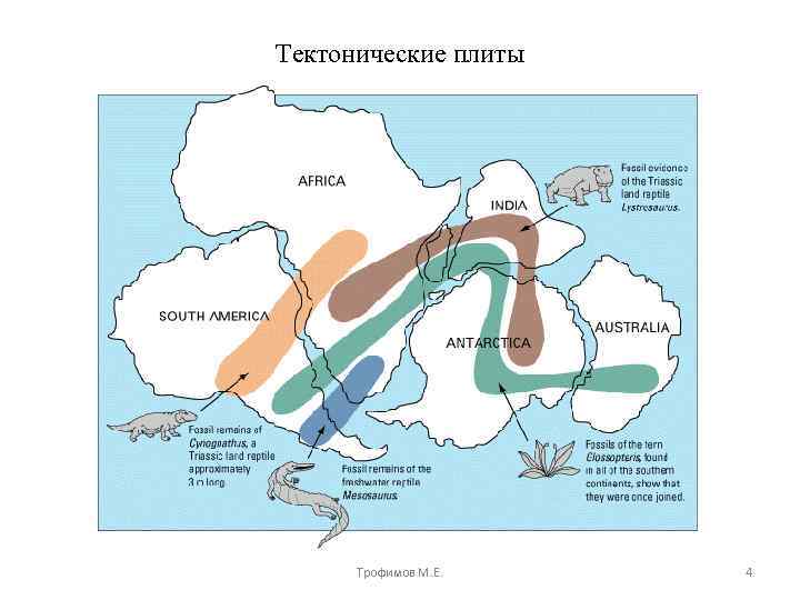 Тектонические плиты Трофимов М. Е. 4 