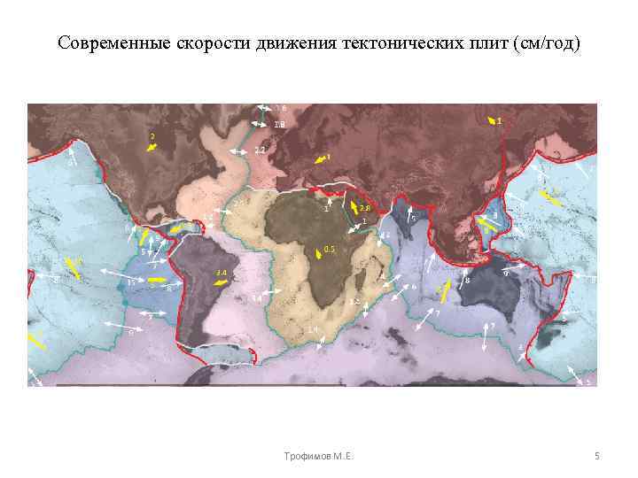 Современные скорости движения тектонических плит (см/год) Трофимов М. Е. 5 