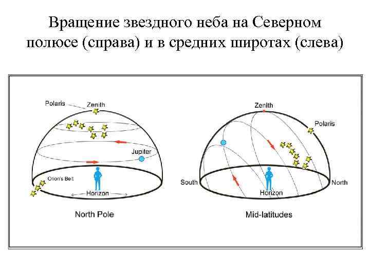 Вращение звездного неба на Северном полюсе (справа) и в средних широтах (слева) 