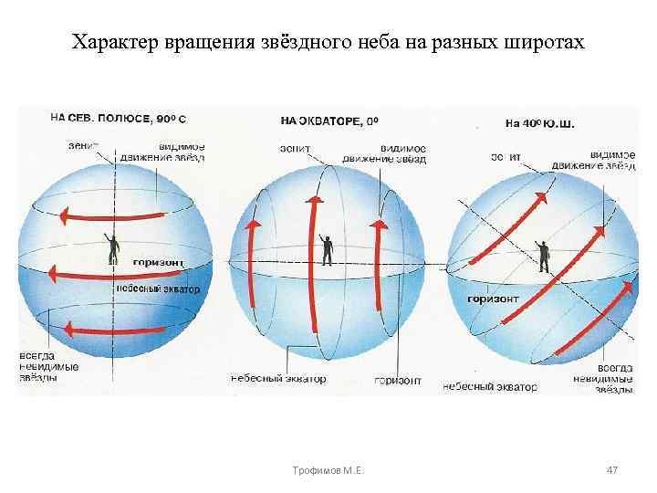 Характер вращения звёздного неба на разных широтах Трофимов М. Е. 47 