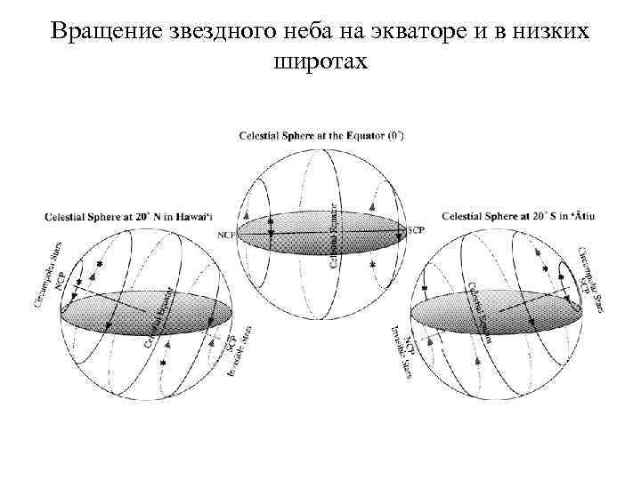 Вращение звездного неба на экваторе и в низких широтах 