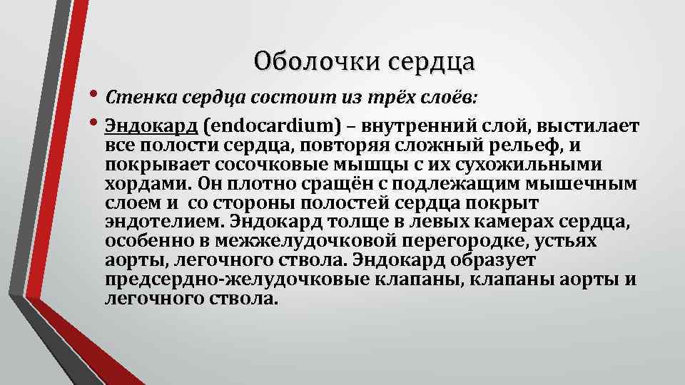 Оболочки сердца • Стенка сердца состоит из трёх слоёв: • Эндокард (endocardium) – внутренний