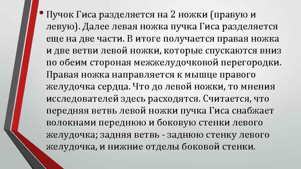  • Пучок Гиса разделяется на 2 ножки (правую и левую). Далее левая ножка