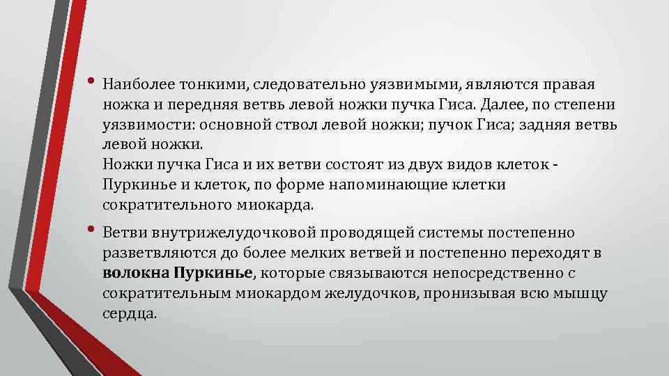  • Наиболее тонкими, следовательно уязвимыми, являются правая ножка и передняя ветвь левой ножки