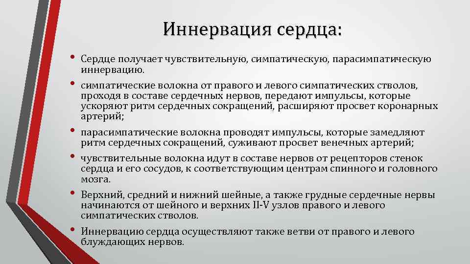 Иннервация сердца: • • • Сердце получает чувствительную, симпатическую, парасимпатическую иннервацию. симпатические волокна от