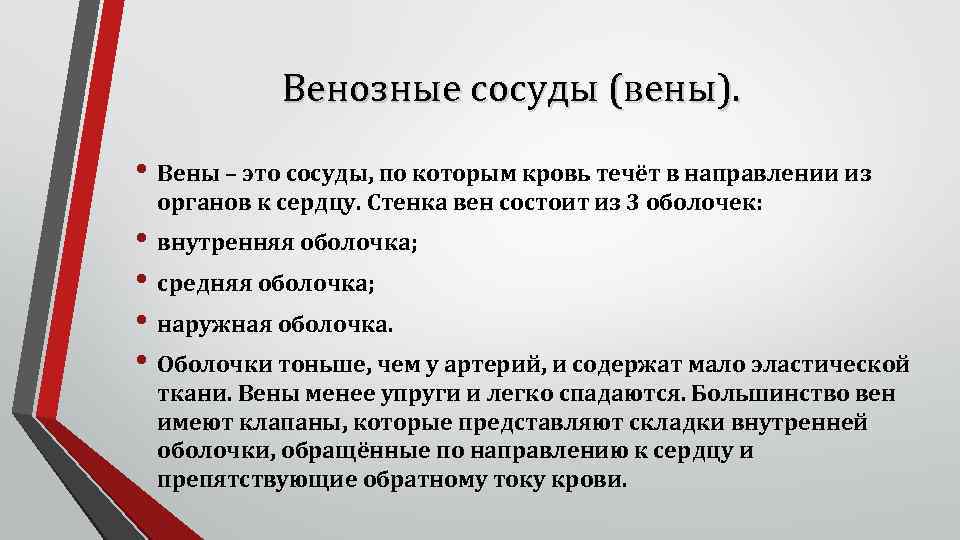 Венозные сосуды (вены). • Вены – это сосуды, по которым кровь течёт в направлении