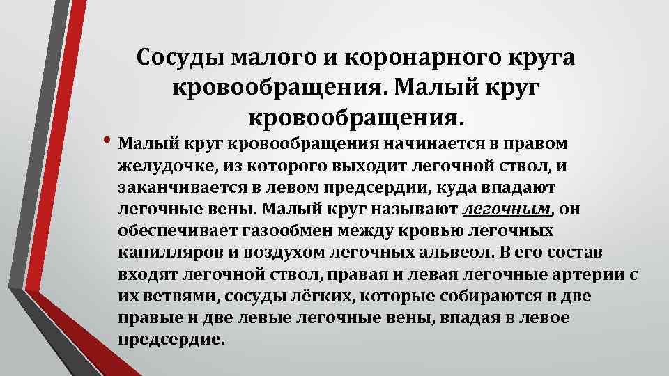 Сосуды малого и коронарного круга кровообращения. Малый круг кровообращения. • Малый круг кровообращения начинается